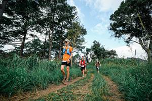 BIB: 
                            <button type="button" onclick="openModal(26036941)" class="btn btn-primary btn-sm float-right btn-popup" data-toggle="modal" data-target=".modal-high-quality">
                        <i class="fas fa-shopping-cart"></i> Add to Cart
                    </button>
                                            <button type="button" onclick="isThisMe(26036941, true)" class="btn btn-success btn-sm float-right btn-popup btn-isme hidden" data-toggle="tooltip" data-placement="bottom" title="นี่คือรูปของคุณใช่ไหม คลิกที่นี่เพื่อเอาเข้าอัลบั้ม">
                        <i class="fas fa-plus"></i> Add to album
                    </button>
                    <button type="button" onclick="isThisMe(26036941, false)" class="btn btn-warning btn-sm float-right btn-popup btn-isnotme hidden">
                        <i class="fas fa-ban"></i> Remove from album
                    </button>